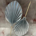 Palm Leaf