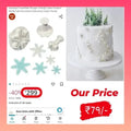Snow Flakes Plunger