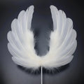 Angel Wing Cake Decoration